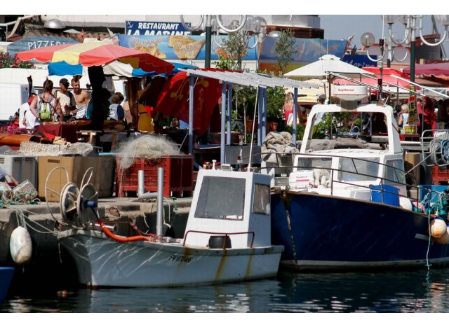 Programme immobilier neuf appart Saint-Cyprien