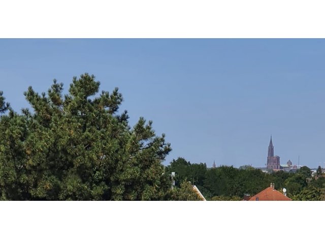 Dolce Vita appart Illkirch-Graffenstaden