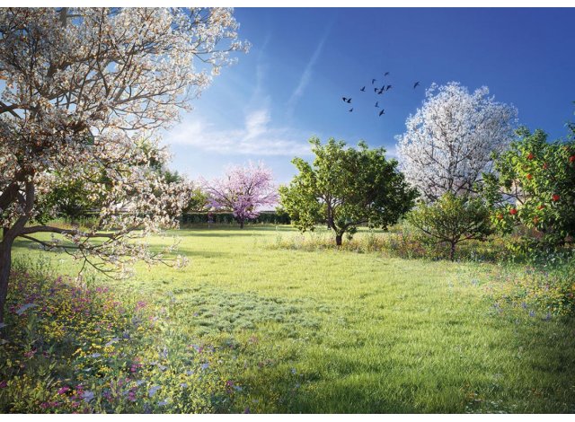 Programme immobilier neuf appart Wittenheim