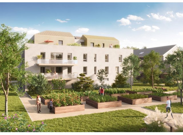 Villa Pégase appart Pfastatt