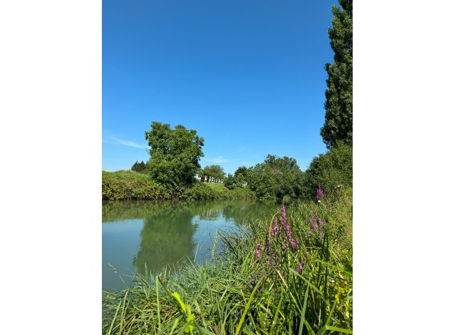 Gemini appart Saint-Louis
