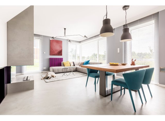 Gemini appart Saint-Louis