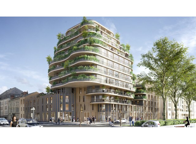 Arborescence appart Angers
